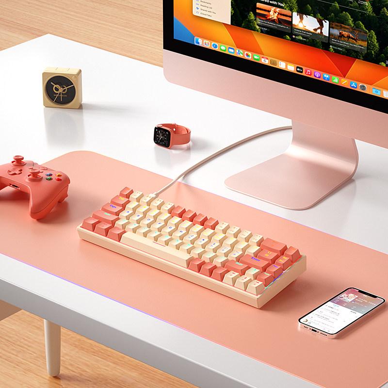 BOW Hot-Swappable Wired Mechanical Keyboard - Universal Compact Gaming with Small Red/Brown Switches, 68 Keys