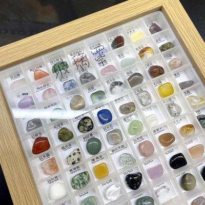 80 Natural Raw Stone Mineral Specimens: Geological Exploration Set for Kids with Frame Box