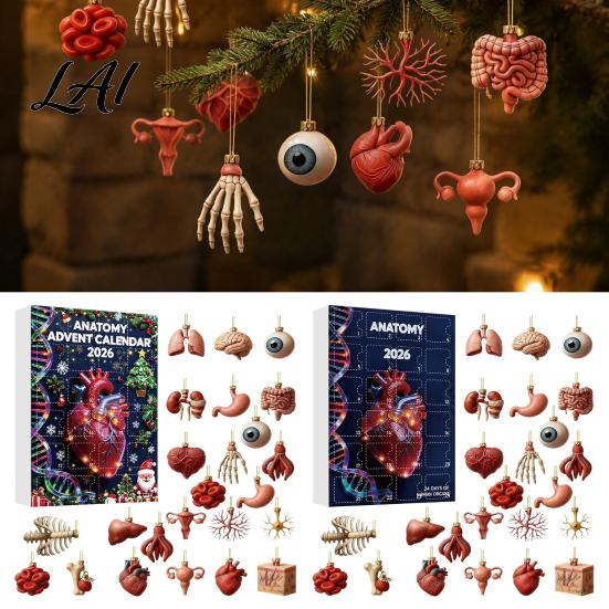 Medical Student Gift Anatomy Advent Calendars 2026 24 Days Organs Ornaments Christmas Countdown Calendar 2D Pendant Decoration Acrylic Human