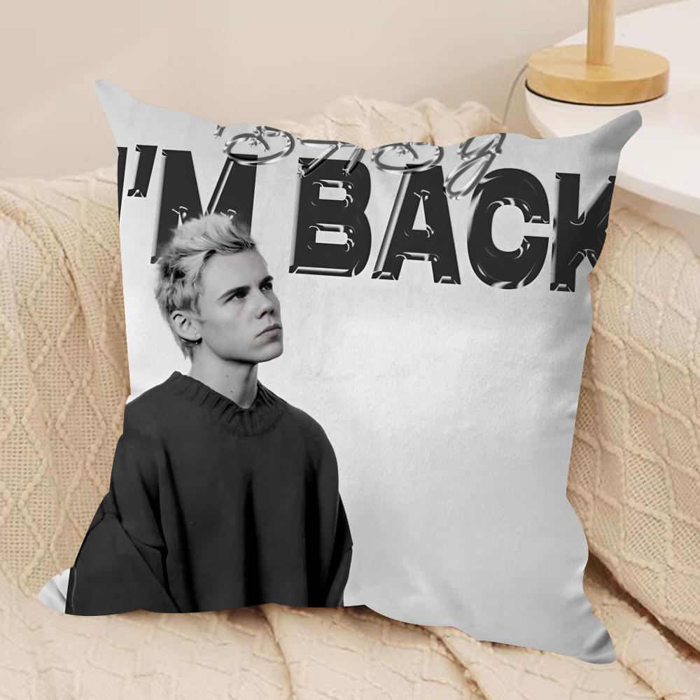 The KKid LLAROI MAYBE Cushion Cover Soft Plush Fabric DoubleSided Printed Cushion Covers for All Seasons Home Decor