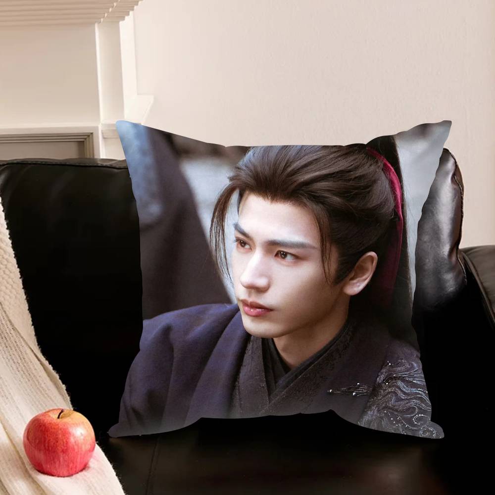 Pursuit Of Jade Zhang Linghe Pillowcase Living Room Sofa Cushion Cover Bedroom Room Bed Pillow Cover Home Decoration