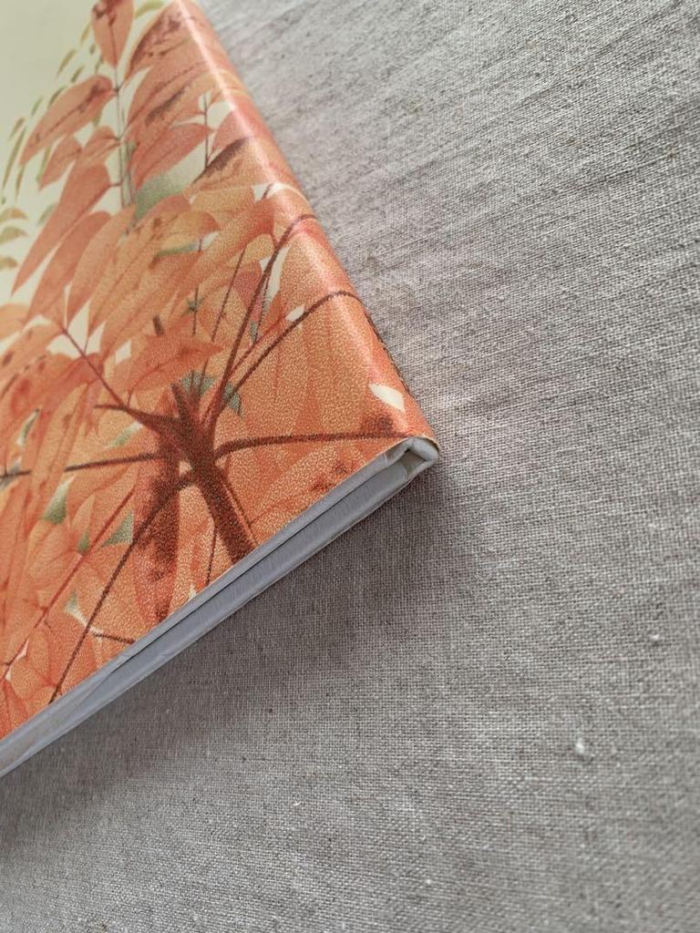 [USED] The World of Sky Drawings by Masakiyo Hasegawa