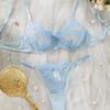 Kajano Sexy Embroidered Multi-color Mesh Lace Push-up Lingerie Set for Women