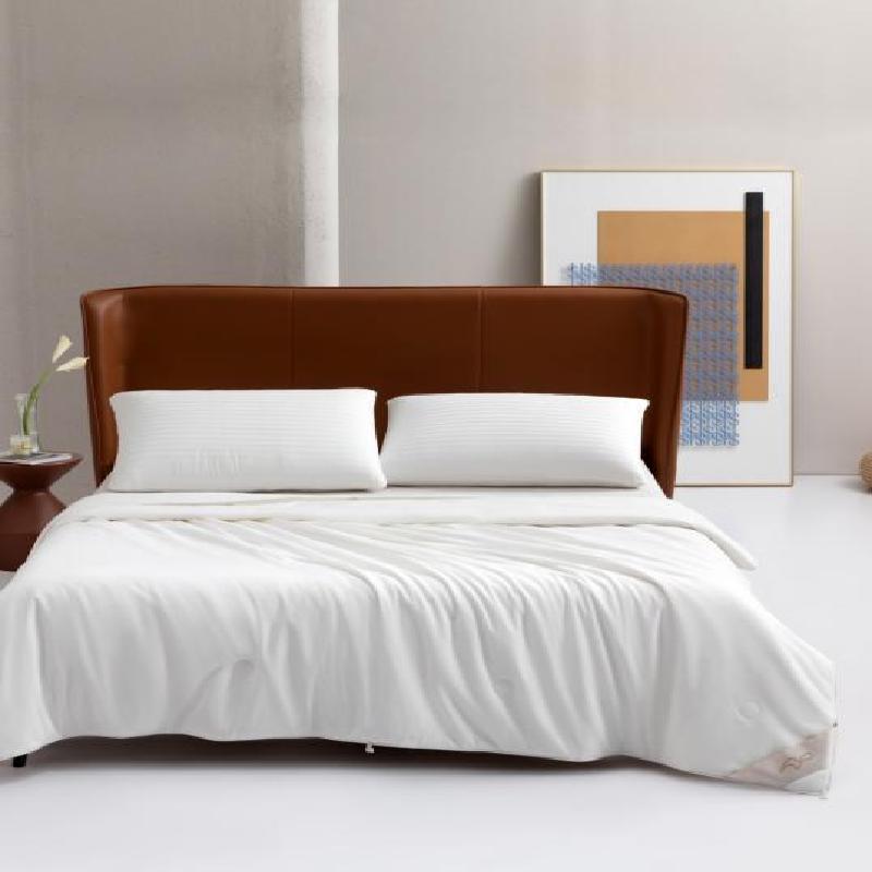 

Mercury Home Textiles Anti-Mite All-Season Comforter