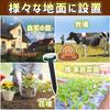 TOREJAX Mole Extermination and Pest Control Mole Field Vandal Solar Home Outdoor Waterproof Design Repellent, Device, Repellent, Prevention, Panel,