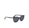 Polaroid PLD 6231/S Sunglasses