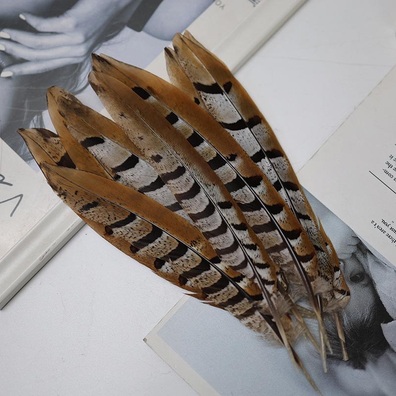 Pheasant Feather Long Plumes for Peking Opera Performance - Sun Wukong Theme