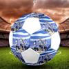 Pallone da Calcio Brighton FC, colorato, adatto a tutte le età, cucito a macchina, materiale PVC, qualità da competizione, durevole e ad alto rimbalzo