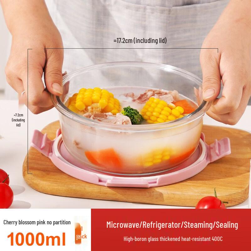 ZISIZ Glass Divided Lunch Box