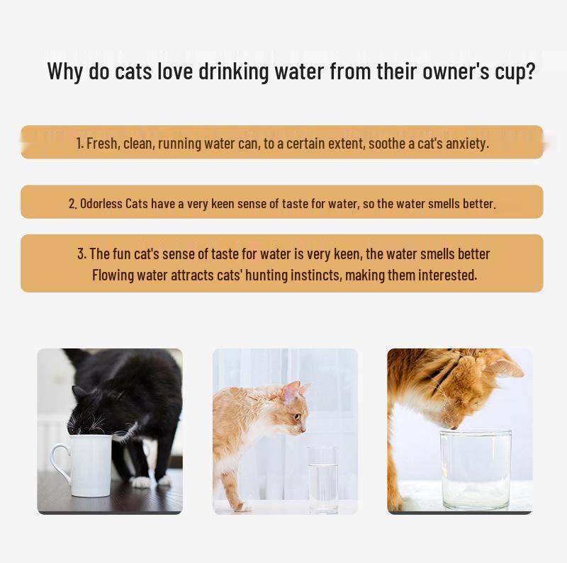Smart Pet Water Dispenser: Automatic Drinking Fountain with Circulating Filter for Dogs and Cats