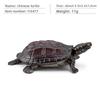 Aquatic Reptile Tortoise Pvc Model Set With Realistic Detailing For Educational Collection