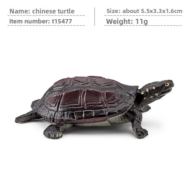 Aquatic Reptile Tortoise Pvc Model Set With Realistic Detailing For Educational Collection