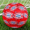 Munich FC Artwork Printed Size 5 Soccer Balls, High-Quality, Anti-Slip, Protective Football, A Unique Gift , Birthdays, Christmas Gifts
