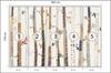 Photomural Forest Structural Vinyl 405x270