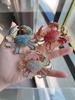 Fashion Rhinestone Crab Brooches Personalized Creative Animal Pin For Women Clothing Coat Accessries Gifts