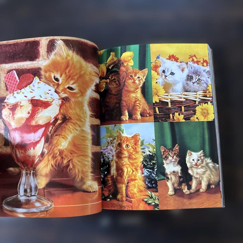 [USED] Rubber Doll Vintage Illustration Book