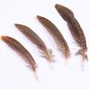 Kobashishan Cocktail Feathers Wild Feather Nature Decorative Feather Jewelry Accessories Crafts