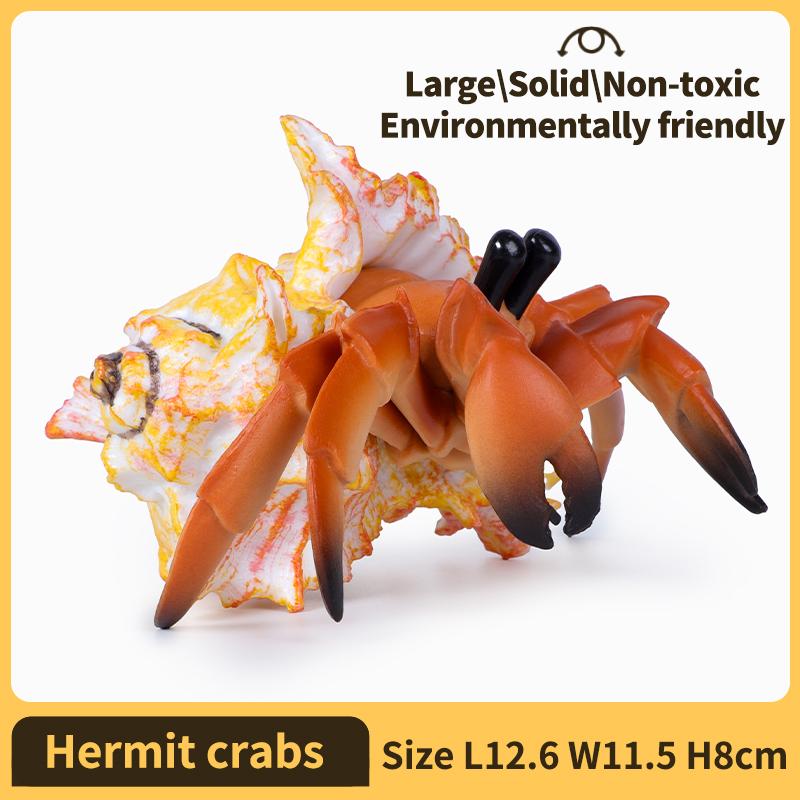Hermit Crab Figurine Sea Life Animals Model Figure Educational Toy Boys Girls Kids Ages 18M for and Kid Friendly Entertaining Fun Play Safe