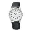 CITIZEN watch REGUNO Solar Tech Standard Model RS25-0033B mens