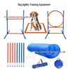 Cães – Produtos para treino de animais
