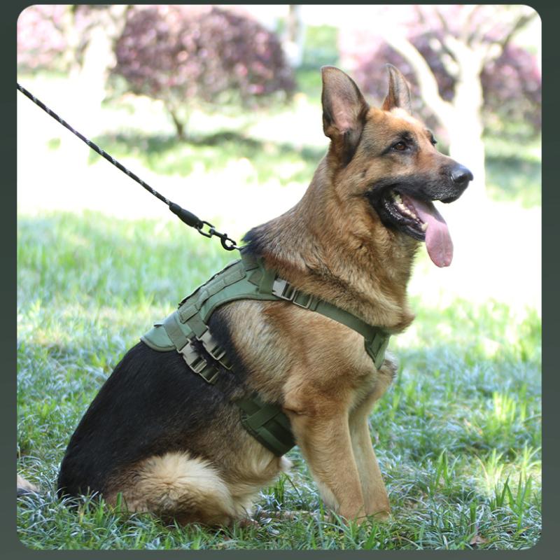 Large Dog Tactical Chest Strap Outdoor Waterproof Explosion-proof Traction Rope Chest Strap Medium and Large Working Dog Vest