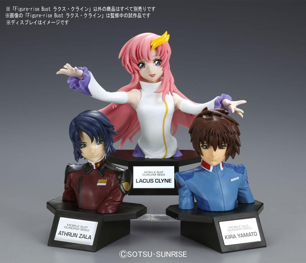 Poprsí Mobile Suit Gundam SEED Lacus Clyne plastový model Figure-rise barevně odlišený