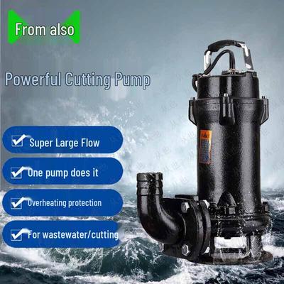 High-Flow Flood Control Sewage Pump