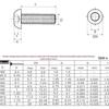 304 Stainless Steel Mushroom Head Hexagon Screw M2-M6