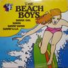 LP Record BEACH BOYS  The Beach Boys SK109 Starpak 1979 Canada Pop Used