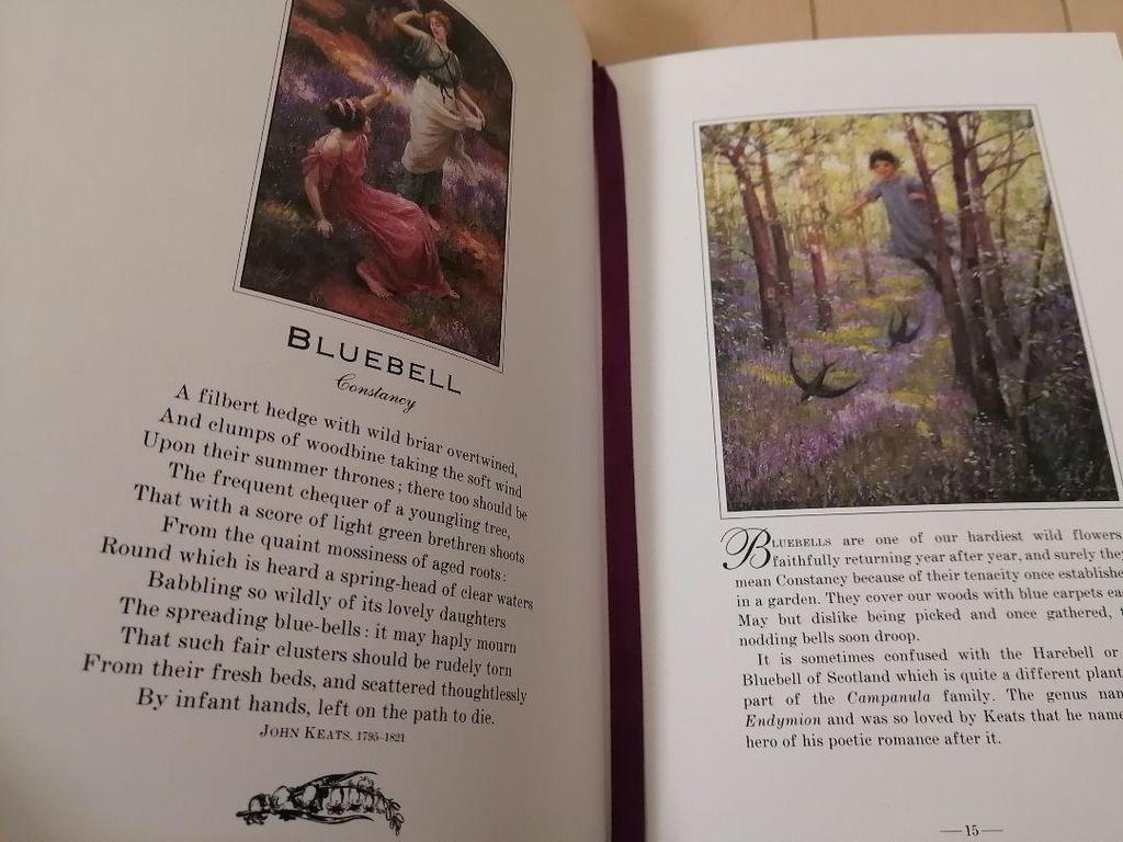 [USED] THE LANGUAGE OF FLOWERS Foreign book Hardcover Fairy Flower