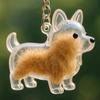Transparent Cat Dog Hair Storage Box Pendant Keychain Collect Pets Hair Commemorate Bag Pendant Save Cat Hair Storage Capsule