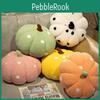 Unique Polka Dot Squash Plush Toy For Kids And Adults