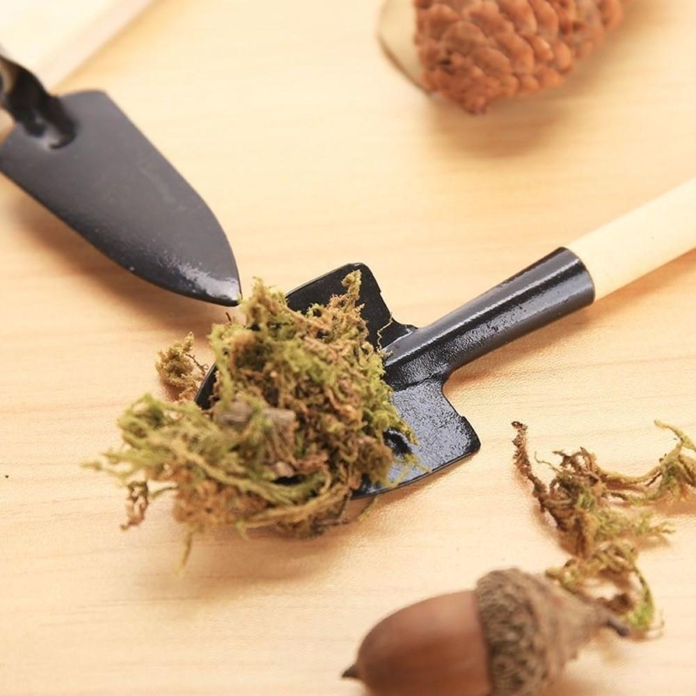 Multi-functional Bonsai Transplanting Tools Flower Vegetable Potted Tools  Potted Plants