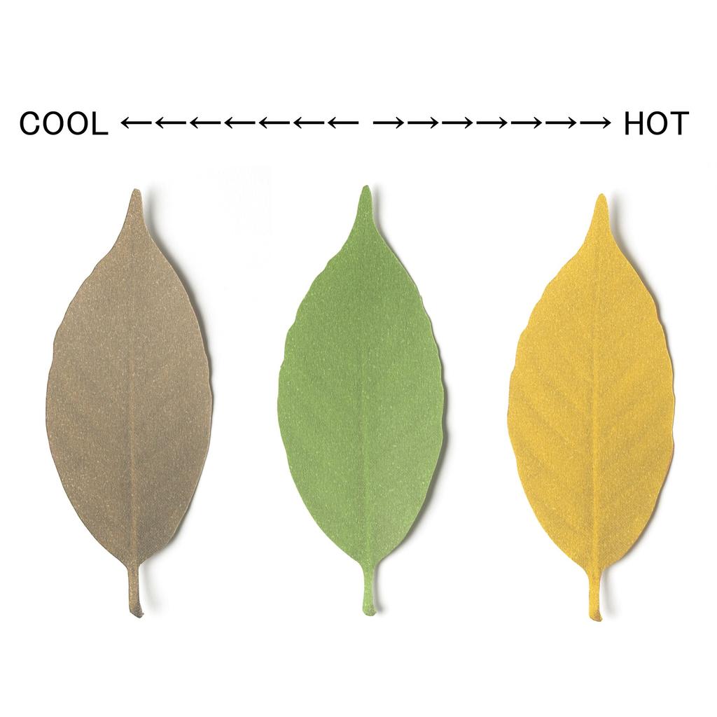 Thermometer Leaf L 5 Pieces Changes Depending On +d d-710-L [Color Temperature]