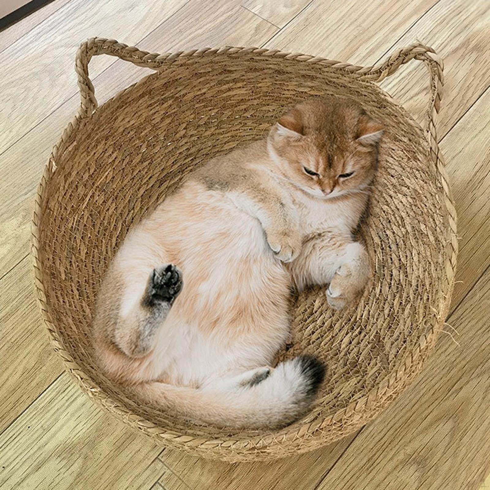 

Ліжко для котів та маленьких собак 40cmx14cm