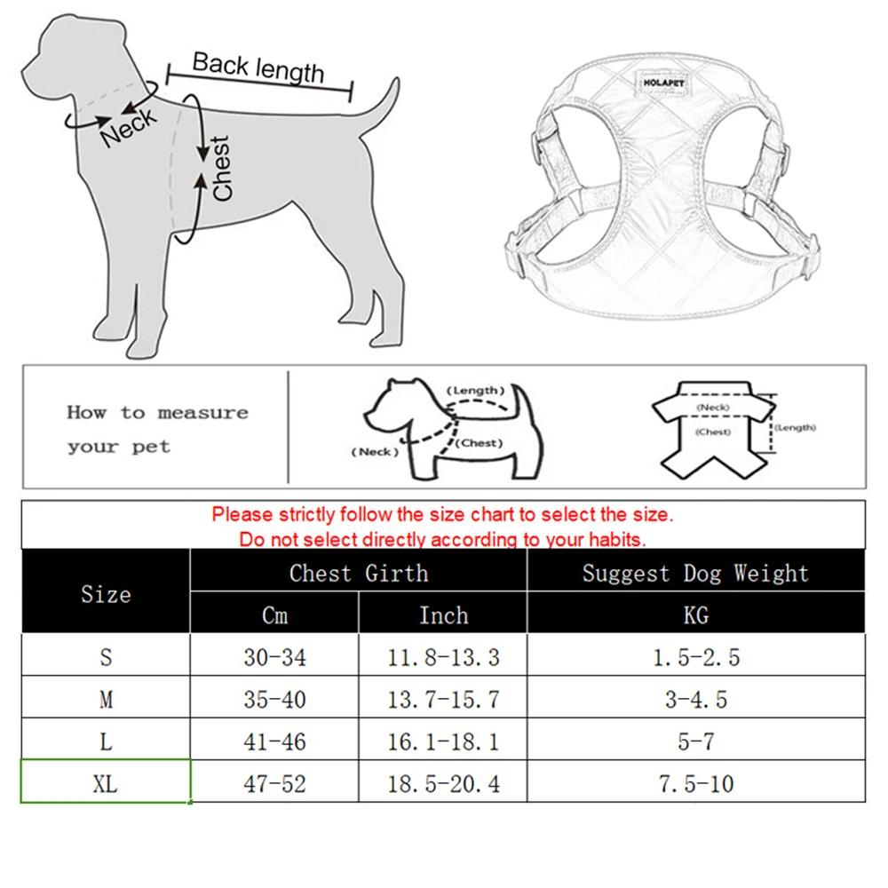 Dog Harness and Leash Set For Small Medium Dogs Cats Outdoor No Pull Puppy Adjustable Chest Strap Chihuahua Pug Pet Supplies