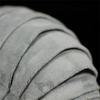 Giant Isopod Plush Toys High Fidelity Anime Cute Plushie Sea Lice Lifelike Animals Simulation Stuffed Doll Kawai Toy Gifts