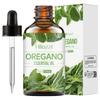 30ml Cross-Border Essential Oil: Hydrating and Nourishing Facial & Body Care