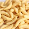 50Pcs Appâts Souples pour la Pêche aux Insectes de Pain Silicone Appâts Artificiels Appâts Artificiels Wobblers pour Jigging Appâts Vers de Terre