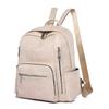 Double Backpack Women's Simple Large-capacity Backpack Fashionable Soft Leather Going Out Travel Bag Women's Light