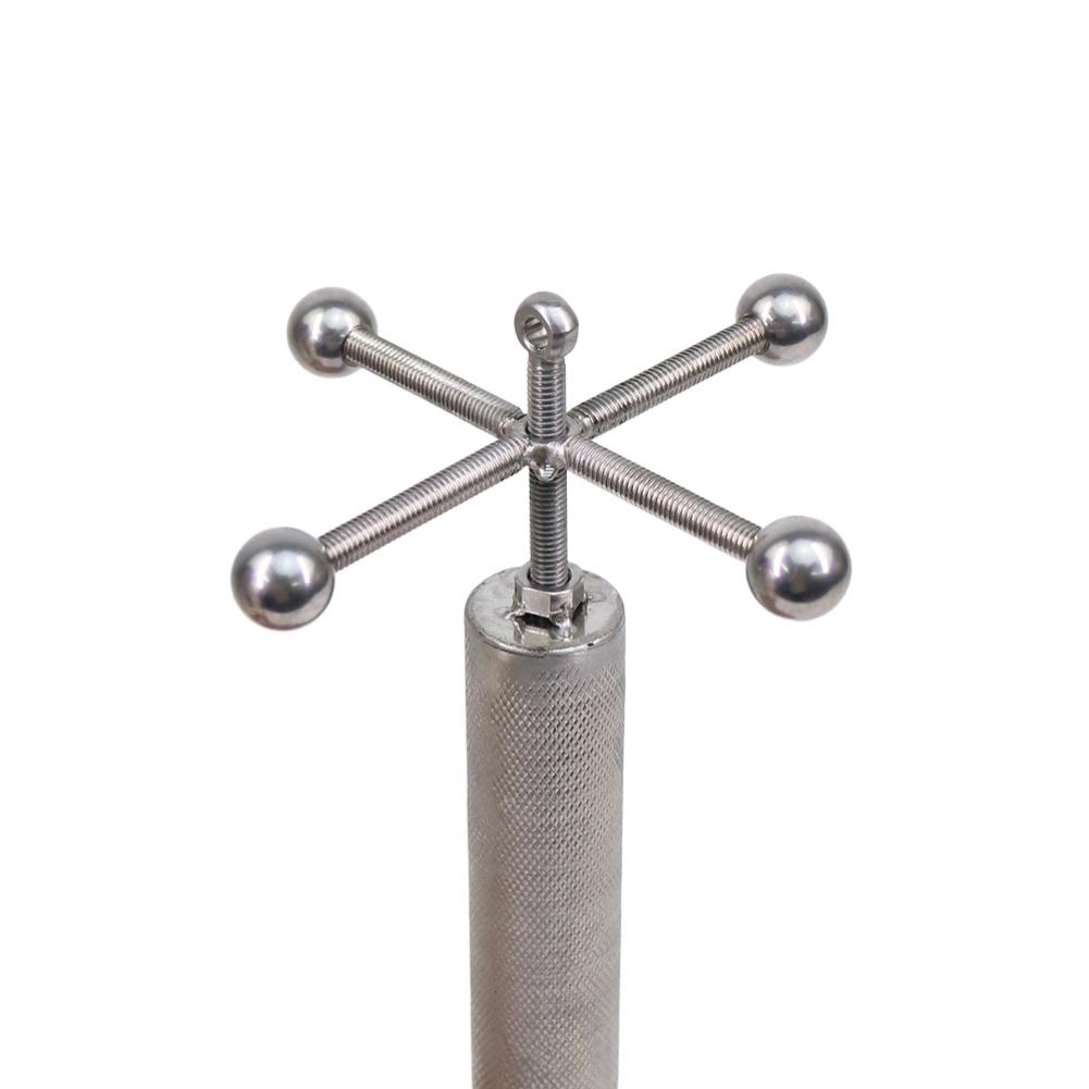 

Rotating Ball Bird Toy Fixed on Stainless Steel Pole to Support Species-Typical Perching and Manipulation Behaviors B
