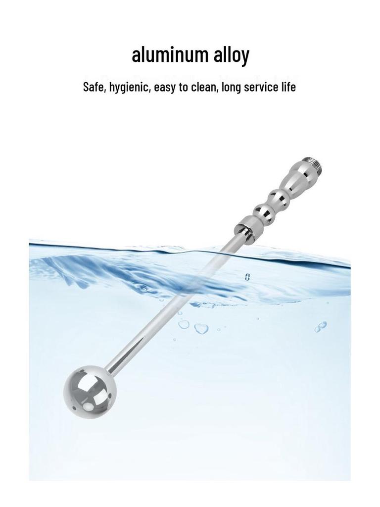 Metal Anal Plug & Dilator: Dual-Use Anus Expansion Training Tool