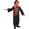 Harry Potter Costume Accessory