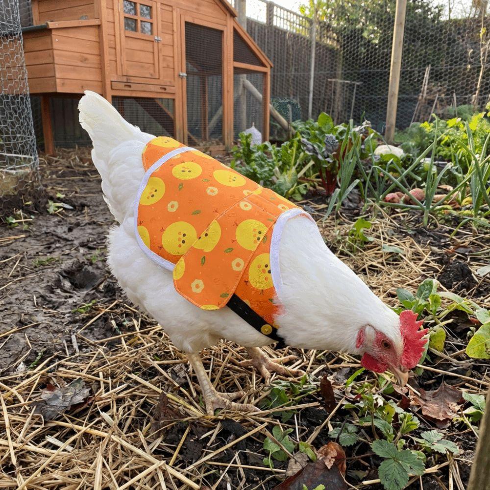 Adjustable Hen Apron Waterproof Chicken Harness Vest Practical Chicken Dress  Pet Clothes