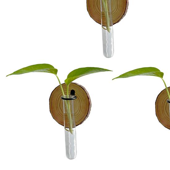 3 Stück Wandmontiertes Pflanzen-Terrarium Vermehrungsstation Klarer Zylinder Hängendes Reagenzglas Pflanzer Innen Dekorative Blumenvase für Badezimmer Büro