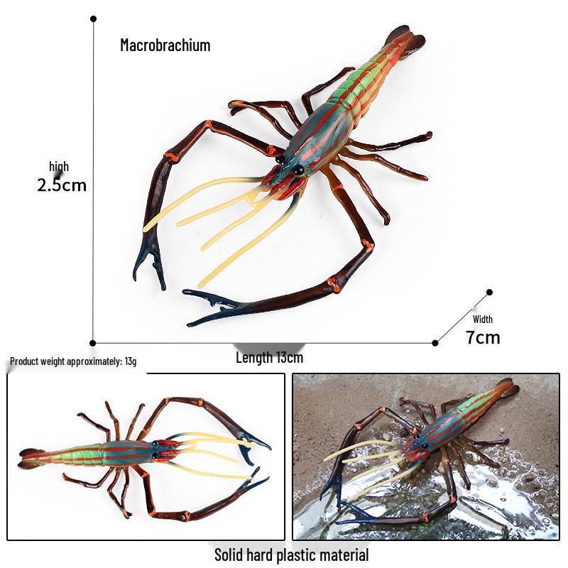 Marine Animal Simulation Model Figures: Shark, Dolphin, Hammerhead, Crab, Squid, Starfish for Kids' Education