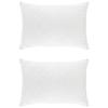 Maison Exclusive - Ensemble de couette 90 % en duvet d’oie FULDA 3 pc 135 x 220 cm