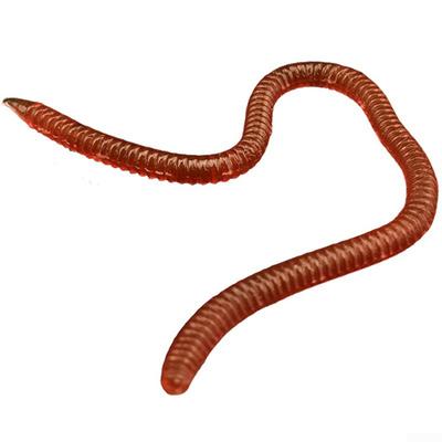 20pcs Artificial Lure 8cm/10cm 9.7x5.2x1.3cm Baits