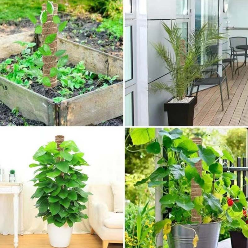 Plant Climbing Trellis Support Stakes Climbing Plant Support Stick Gardening Support Frame Flower Stand
