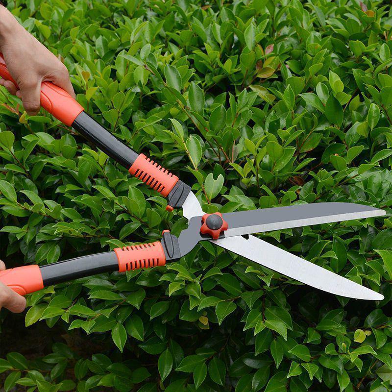 

Horticultural Garden & Tree Pruning Shears - Powerful for Flowers, Branches, and Lawn Hedges